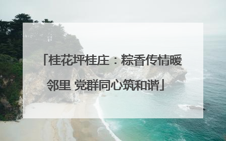 桂花坪桂庄：粽香传情暖邻里 党群同心筑和谐