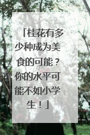 桂花有多少种成为美食的可能？你的水平可能不如小学生！