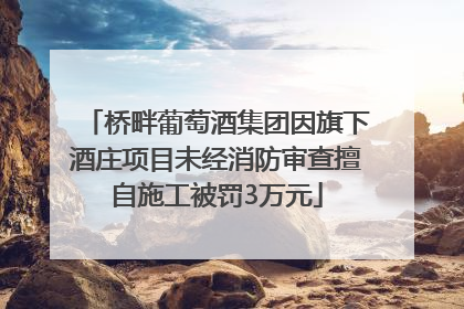桥畔葡萄酒集团因旗下酒庄项目未经消防审查擅自施工被罚3万元