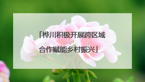 桦川积极开展跨区域合作赋能乡村振兴