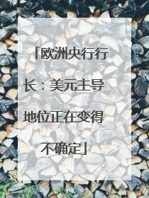 欧洲央行行长：美元主导地位正在变得不确定