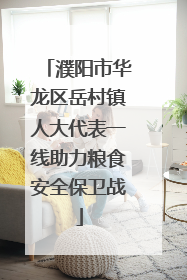 濮阳市华龙区岳村镇人大代表一线助力粮食安全保卫战