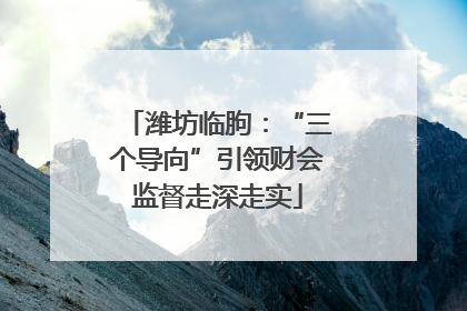 潍坊临朐：“三个导向”引领财会监督走深走实