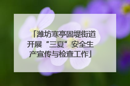 潍坊寒亭固堤街道开展“三夏”安全生产宣传与检查工作
