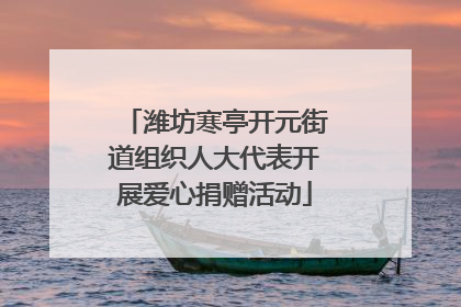 潍坊寒亭开元街道组织人大代表开展爱心捐赠活动