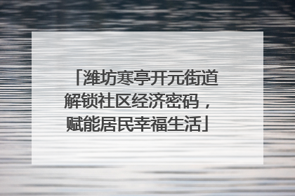 潍坊寒亭开元街道解锁社区经济密码，赋能居民幸福生活