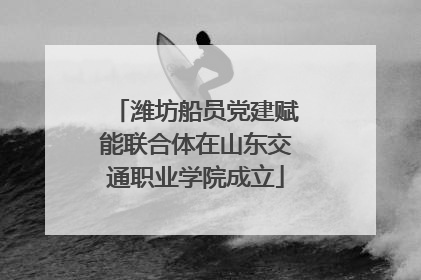 潍坊船员党建赋能联合体在山东交通职业学院成立