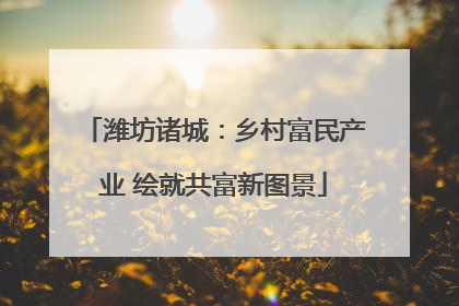 潍坊诸城：乡村富民产业 绘就共富新图景