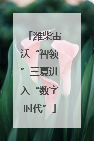 潍柴雷沃“智领”三夏进入“数字时代”