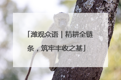 潍观众语｜精耕全链条，筑牢丰收之基
