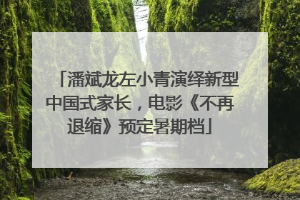 潘斌龙左小青演绎新型中国式家长，电影《不再退缩》预定暑期档