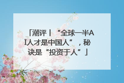 潮评丨“全球一半AI人才是中国人”，秘诀是“投资于人”