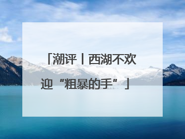 潮评丨西湖不欢迎“粗暴的手”
