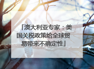 澳大利亚专家：美国关税政策给全球贸易带来不确定性