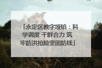 永定区教字垭镇：科学调度 干群合力 筑牢防洪抢险坚固防线