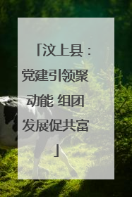 汶上县：党建引领聚动能 组团发展促共富