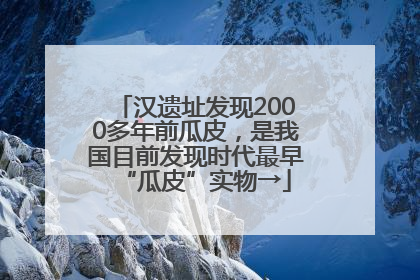 汉遗址发现2000多年前瓜皮，是我国目前发现时代最早“瓜皮”实物→