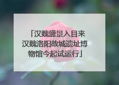 汉魏盛景入目来 汉魏洛阳故城遗址博物馆今起试运行