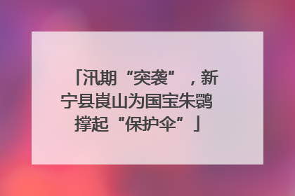 汛期“突袭”，新宁县崀山为国宝朱鹮撑起“保护伞”