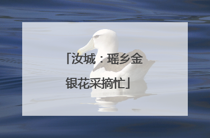 汝城：瑶乡金银花采摘忙