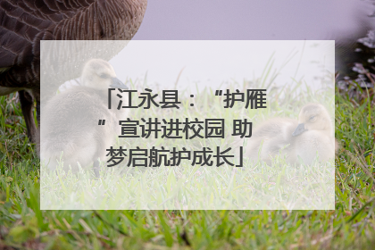 江永县：“护雁”宣讲进校园 助梦启航护成长