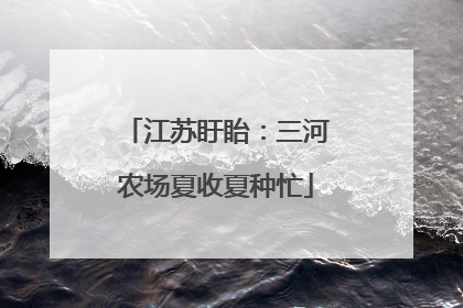 江苏盱眙：三河农场夏收夏种忙