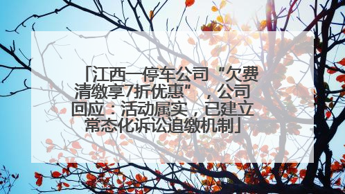 江西一停车公司“欠费清缴享7折优惠”，公司回应：活动属实，已建立常态化诉讼追缴机制