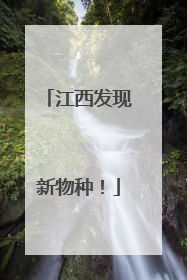江西发现新物种！