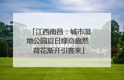 江西南昌：城市湿地公园夏日绿意盎然 荷花渐开引客来