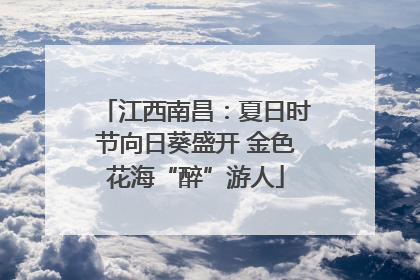 江西南昌：夏日时节向日葵盛开 金色花海“醉”游人