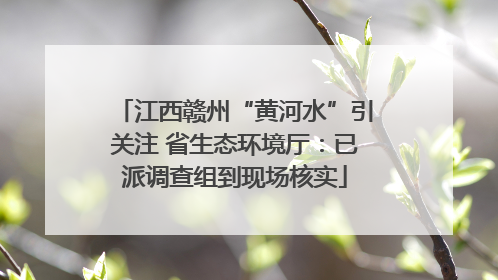 江西赣州“黄河水”引关注 省生态环境厅：已派调查组到现场核实