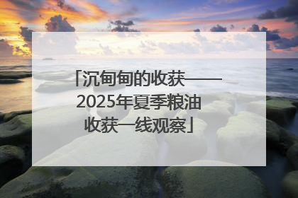 沉甸甸的收获——2025年夏季粮油收获一线观察