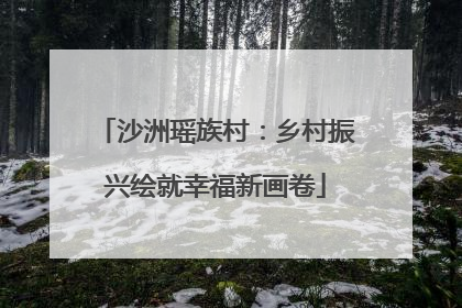 沙洲瑶族村：乡村振兴绘就幸福新画卷
