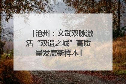 沧州：文武双脉激活“双遗之城”高质量发展新样本
