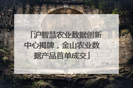 沪智慧农业数据创新中心揭牌，金山农业数据产品首单成交