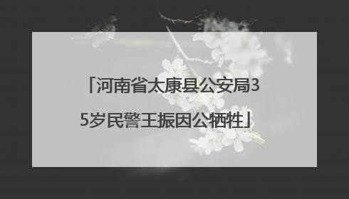 河南省太康县公安局35岁民警王振因公牺牲