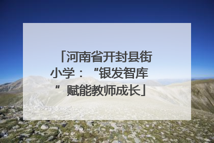 河南省开封县街小学：“银发智库”赋能教师成长