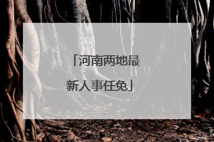 河南两地最新人事任免