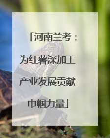 河南兰考：为红薯深加工产业发展贡献巾帼力量