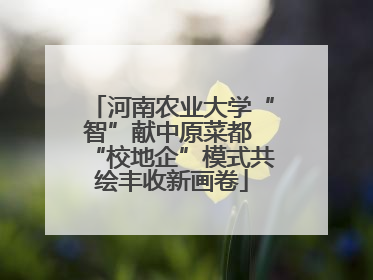 河南农业大学“智”献中原菜都 “校地企”模式共绘丰收新画卷