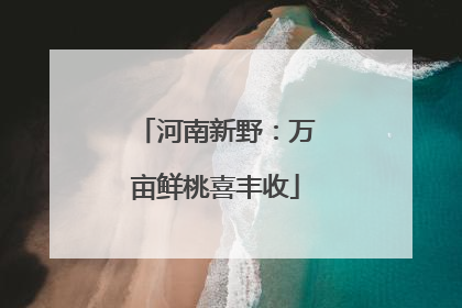 河南新野：万亩鲜桃喜丰收