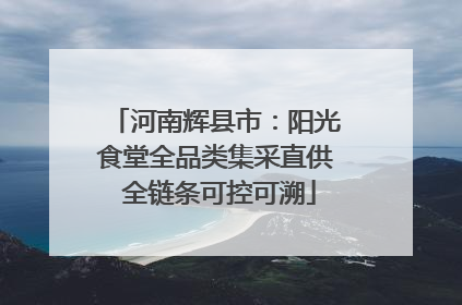 河南辉县市：阳光食堂全品类集采直供 全链条可控可溯