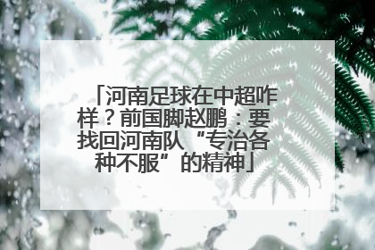 河南足球在中超咋样？前国脚赵鹏：要找回河南队“专治各种不服”的精神