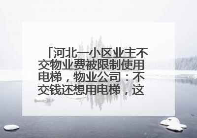 河北一小区业主不交物业费被限制使用电梯，物业公司：不交钱还想用电梯，这钱谁出？