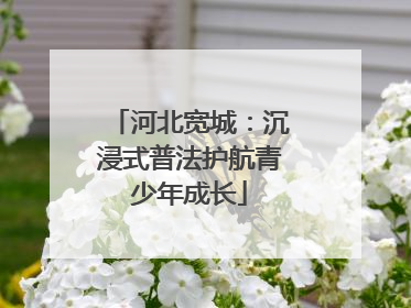 河北宽城：沉浸式普法护航青少年成长
