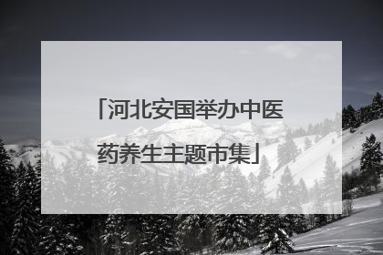 河北安国举办中医药养生主题市集