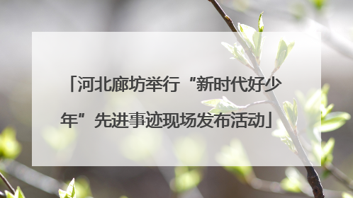 河北廊坊举行“新时代好少年”先进事迹现场发布活动