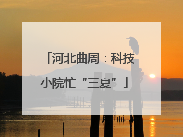 河北曲周：科技小院忙“三夏”