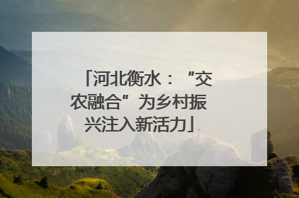 河北衡水：“交农融合”为乡村振兴注入新活力