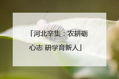 河北辛集：农耕砺心志 研学育新人